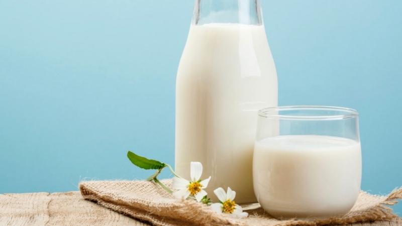 Uống sữa tươi không đường có béo không?