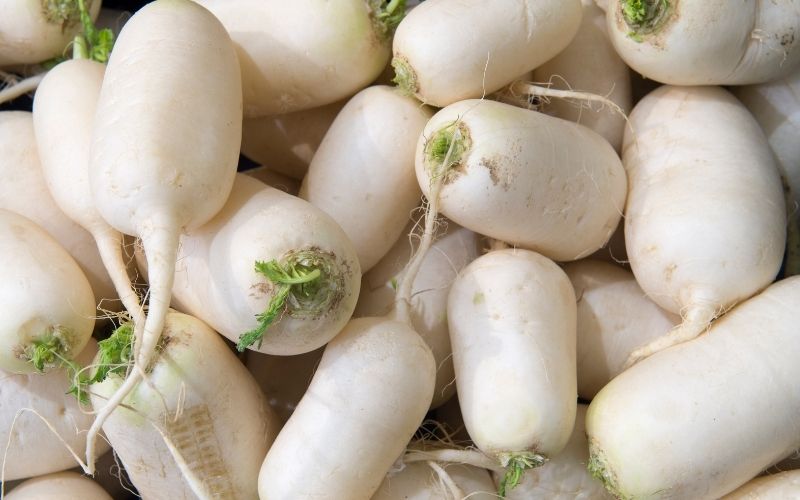 Trong 100g củ cải trắng có 16 - 21 calo