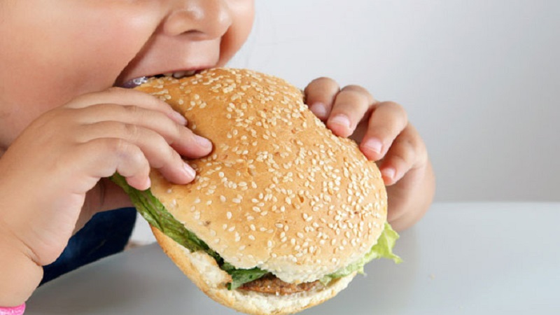 Ăn nhiều hamburger có thể gây béo phì