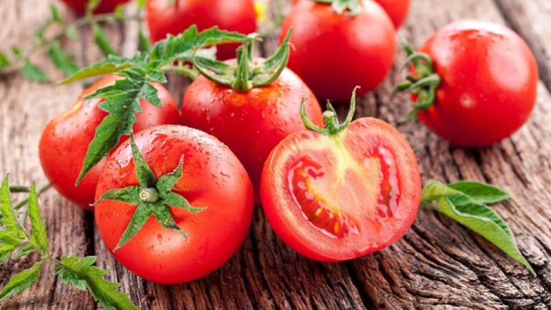 Cà chua chứa rất nhiều chất dinh dưỡng