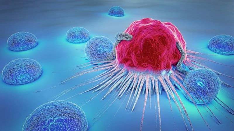 Hạn chế khả năng phát triển của tế bào ung thư