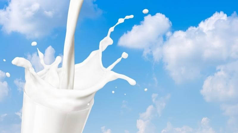 Sữa chứa đầy đủ các chất dinh dưỡng tốt cho sức khỏe