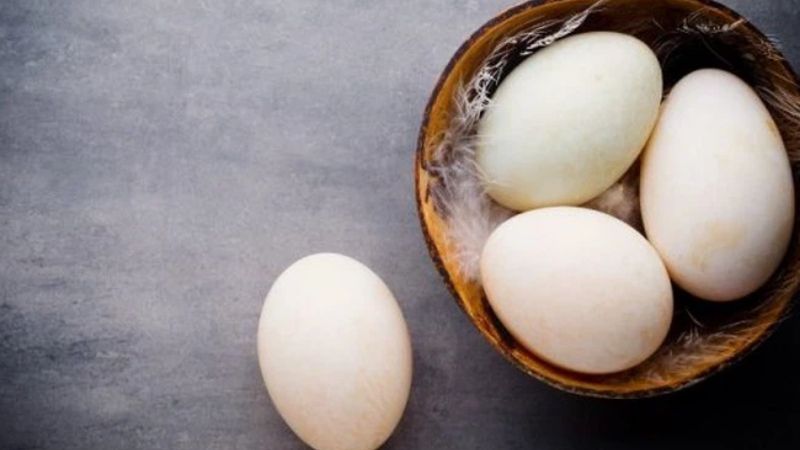 Ăn trứng vịt có béo không?