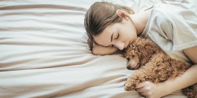 Lông từ chó, mèo cũng có thể rụng và nếu hít phải khi ngủ sẽ gây vấn đề lớn tới hệ hô hấp.