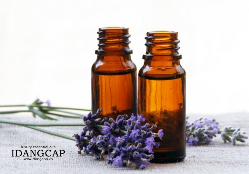 Tinh Dầu Oải Hương Nguyên Chất – Lavender Essential Oil