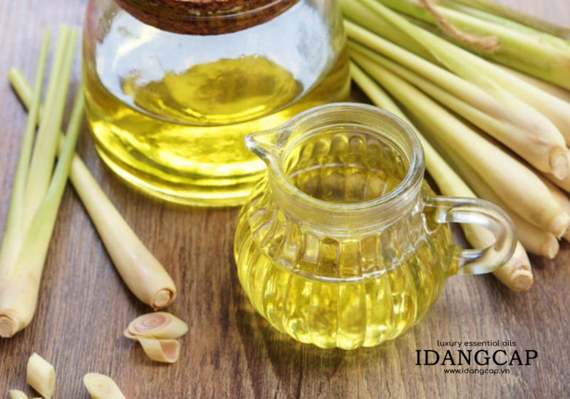 Tinh Dầu Sả Chanh Nguyên Chất – Lemongrass Essential Oil