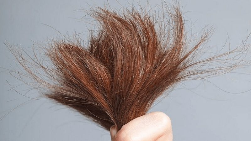 Lão hóa tóc khiến cho tóc bạn bị bạc sớm, mảnh, khô