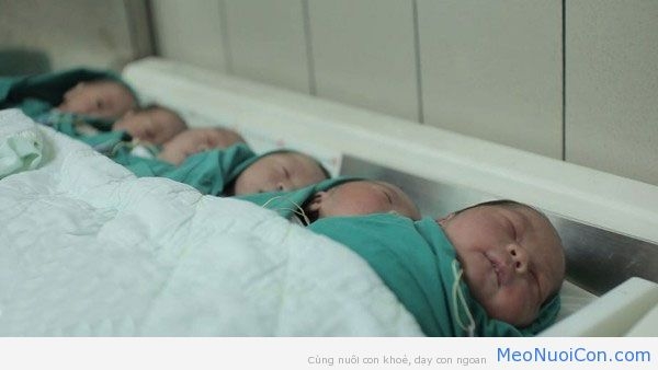 Trẻ được chăm sóc sau sinh tại bệnh viện Việt Nhật