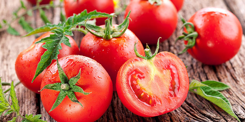 Cà chua tăng khả năng phục hồi tế bào