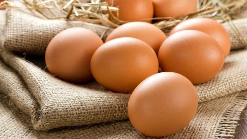 Trứng là thực phẩm dễ chế biến và nhiều chất dinh dưỡng