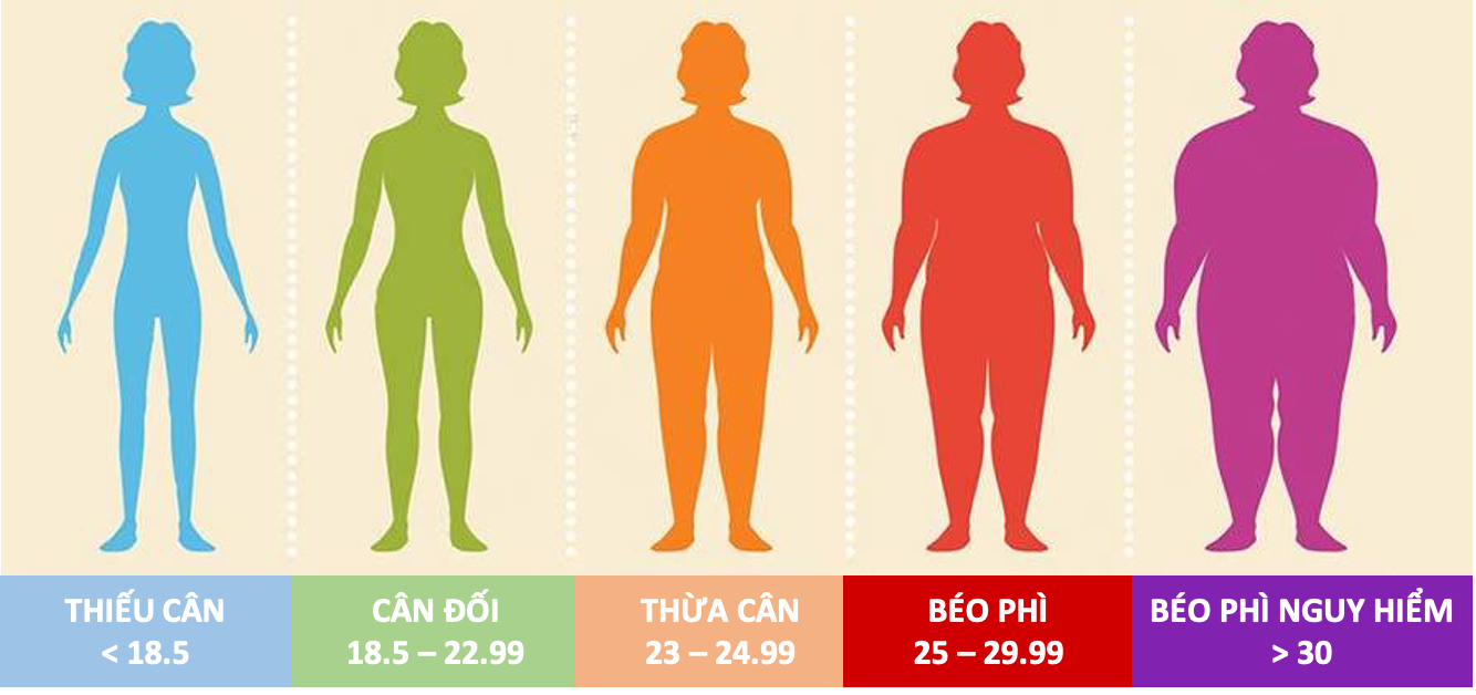 Chỉ số BMI đo chiều cao cân nặng chuẩn ở nữ giới