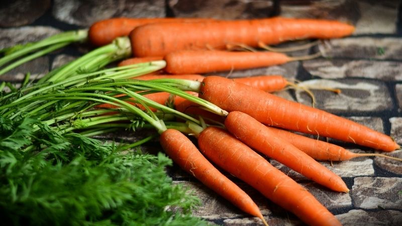 Cà rốt là một trong những loại thực phẩm tốt nhất cho mắt