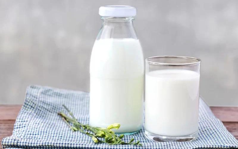 Sữa tươi có nhiều dưỡng chất tốt trong việc dưỡng môi