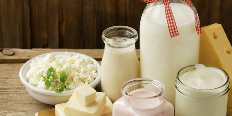 Hãy chọn sữa bò và các sản phẩm từ sữa như sữa chua, phô mai...
