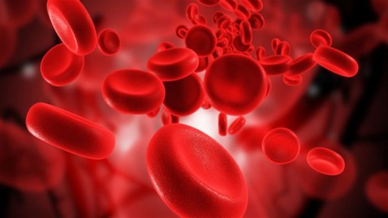 Củ sen giúp tạo tế bào hồng cầu và tăng lưu lượng máu