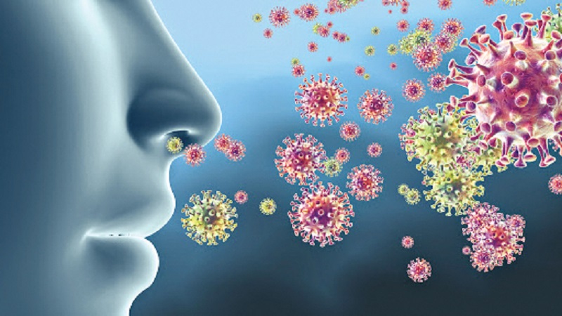 Virus lây nhiễm thông qua mũi của người