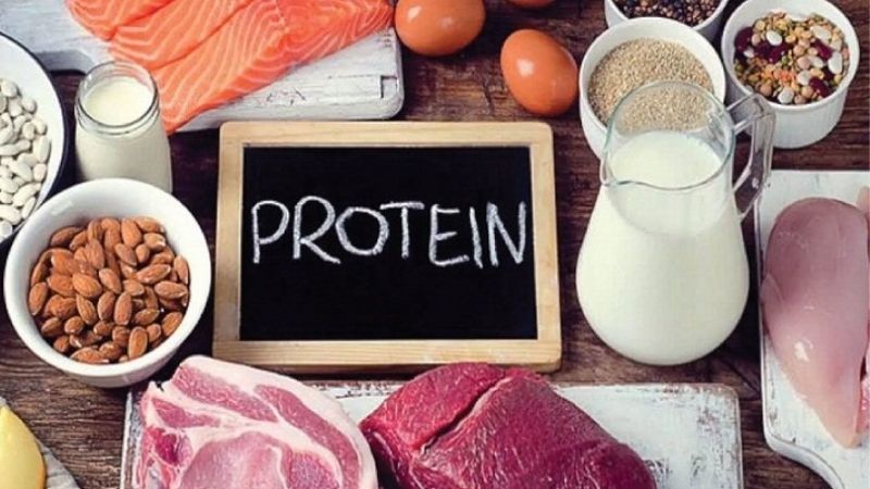 Cắt giảm protein