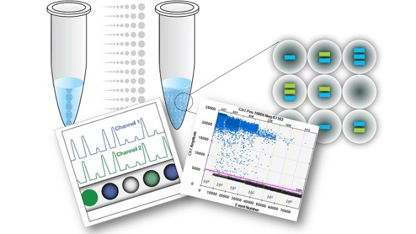 Xét nghiệm PCR là gì? Quy trình và nơi xét nghiệm - 7-Dayslim
